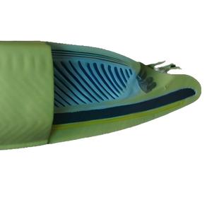 Modello Anatomico di Amphioxus (Lancelet) - Modello Didattico Zoologico per Anatomia Comparativa - Product Image 2