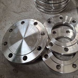 Brida Ciega de Acero Inoxidable 304 con 8 Orificios para Pernos de 38 mm para Uso en la Industria Química - Product Image 2