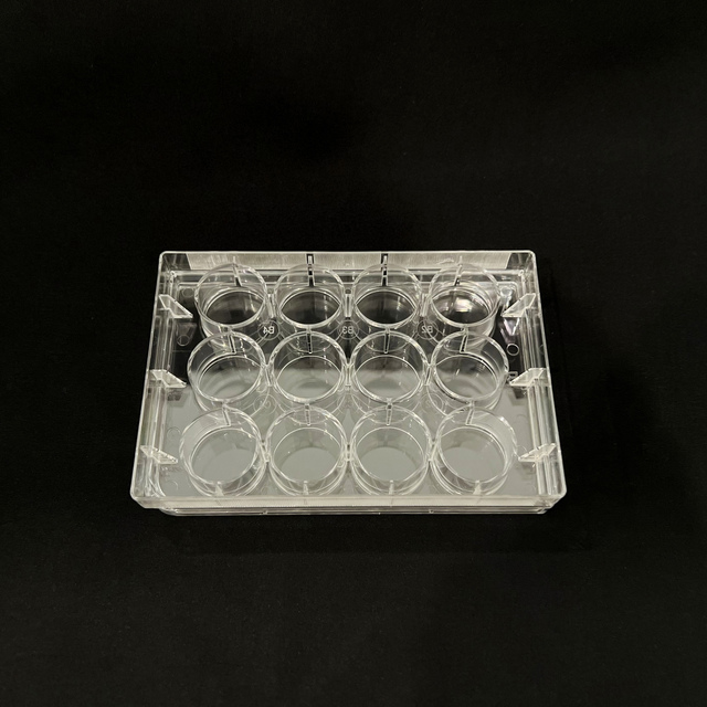 Sterile 6 Well 24 Well 96 Well Cell Culture Clear Plate Flat Bottom with Lid PS Material for Laboratory Biotech