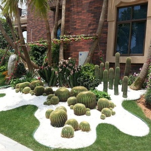 10 m dài Cỏ đá trung bình vườn sỏi con đường cảnh quan cây cỏ ranh giới phân chia cạnh - Product Image 5