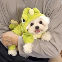 Winter Warme Hundekleidung Weiche Fleece-Weste für Welpen Niedliche Weihnachts-Hundemantel mit Schal Bekleidung für Kleine Hunde und Katzen
