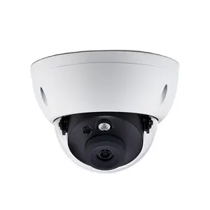 Da Hua không thấm nước IPC-HDBW2441E-S-S2 4MP WDR IR Mini Dome mạng Máy ảnh IP PoE giám sát máy ảnh nhà 2024 CCTV máy ảnh