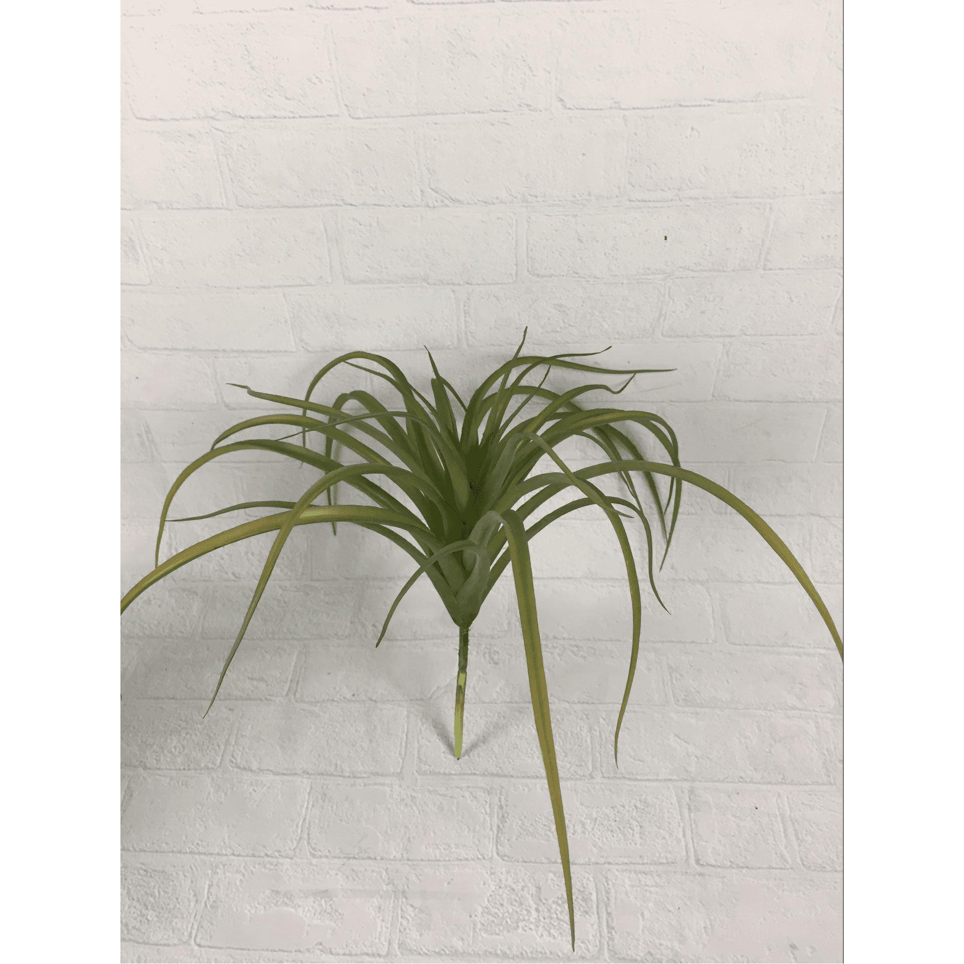 9 inches dragon beard grass red