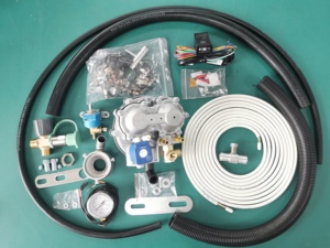 Keke Triciclo Tvs con Cng Kits Motocicleta KEKE Cng LPG Kit Autogas Control de Motor para Tres Ruedas Triciclo <span class=keywords><strong>Motocars</strong></span> - Product Image 4