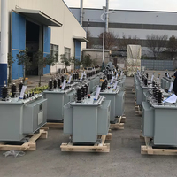 Transformador de Distribución de Energía Trifásico de 10KV 11KV 15KV para Montaje en Poste Exterior