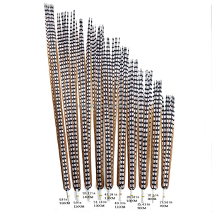 Plumes de queue de faisan collier naturelles longues en gros pour la pêche à la mouche, la fabrication de leurres, la décoration en vrac, les costumes de carnaval. - Product Image 2