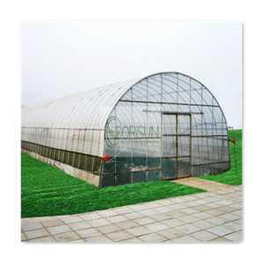 Serre à cadre en acier galvanisé Film PE à travée unique pour l'agriculture Serre à tunnel à faible coût pour plantes à fleurs - Product Image 2
