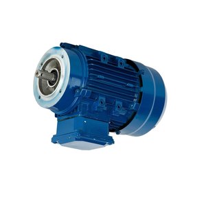 <span class=keywords><strong>Moteur</strong></span> <span class=keywords><strong>asynchrone</strong></span> <span class=keywords><strong>triphasé</strong></span> AC 250W 370W 380V à <span class=keywords><strong>enroulement</strong></span> en cuivre, personnalisable, pour machines-outils - Product Image 1