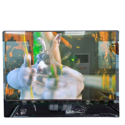 For LG Display's 55\" LW550JUL Transparent OLED Screen Module with Capacitive Touch High-quality LCD Modules