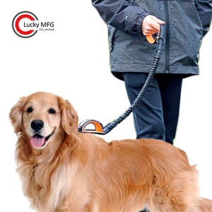 Laisse de dressage à double poignées de contrôle Laisse élastique réfléchissante en nylon pour chien avec absorption des chocs - Product Image 6