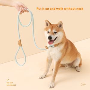 Venta al por mayor correa de nailon para mascotas hebilla de seguridad universal collar de cadena para perros medianos a grandes gratis sólido - Product Image 3