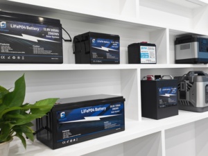 แบตเตอรี่ LiFePO4 12V 24V 50Ah 100Ah 150Ah 200Ah 300Ah 12.8v 12 โวลต์ ชุดแบตเตอรี่ลิเธียมไอออนสำหรับเก็บพลังงานแบบกำหนดเองได้ - Product Image 2