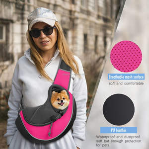 Toptan Küçük Boy Nefes Alabilen Fileli Evcil Hayvan Köpek Kedi Seyahat Çantası Taşınabilir Askılı El Çantası Fermuarlı Kapatmalı Dış Mekan Stili Hayvan Taşıma Çantası - Product Image 1
