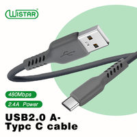 Kabel WISTAR Desain Baru USB2.0 USB A ke Tipe C, Kabel Data Pengisian Cepat USB A ke USB Tipe C untuk Ponsel