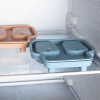 Moule à crème glacée en Silicone à 2 cavités avec couvercles et bâtonnets réutilisables pour sucettes glacées faites maison