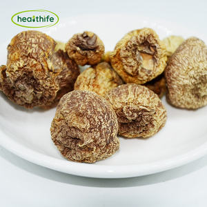 FocusHerb yüksek kaliteli polisakkarit tozu organik <span class=keywords><strong>Agaricus</strong></span> <span class=keywords><strong>Blazei</strong></span> Murrill özü 50% polisakkarit - Product Image 3