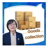 Agent maritime professionnel le plus rapide DDP DDU FCL LCL de Chine vers le Mexique Livraison aérienne + express
