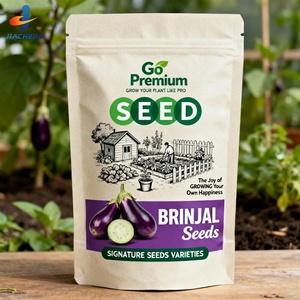 Sachet Doypack en papier <span class=keywords><strong>kraft</strong></span> brun biodégradable écologique avec fermeture éclair refermable pour graines de fleurs et de légumes - Product Image 2