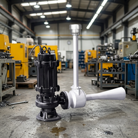 Pompes à eau submersibles à jet en acier inoxydable pour stations d'épuration, garantie 1 an
