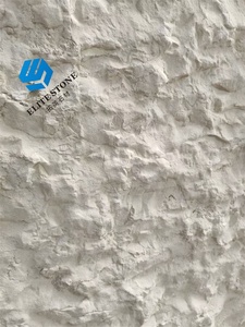 Piedra de ingeniería natural, baldosas de piedra caliza exterior blanca, pavimentación de <span class=keywords><strong>Portugal</strong></span>, Porto, revestimiento de pared de piedra caliza Beige - Product Image 3