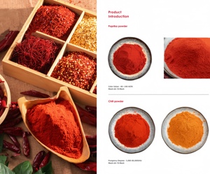 Poudre de piment fort Gochugaru de marque privée, certifiée HACCP, épices séchées, piment rouge espagnol doux, traité AD - Product Image 3