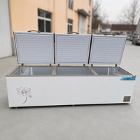 Congélateur coffre commercial réglable avec écran LED, 3 portes, étagères ajustables, basse température, horizontal, profond