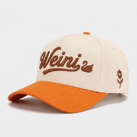 Groothandel op maat gemaakte hoogwaardige private label 3D geborduurde logo unisex velours twill etnische petten baseball cap OEM gestructureerd