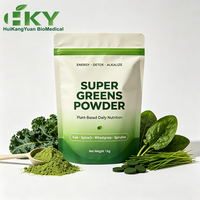 Poudre de Super Greens Personnalisée à Marque Privée HKY Supply, Mélange de Légumes Verts en Vrac, Disponible en Sachet Doypack de 1 kg