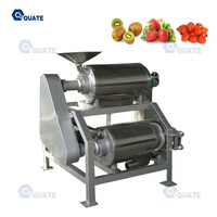 Kleinschalige Tamarinde Mango Zaad Verwijderen Tomaat Aardbei Pastap Maken Extractie Fruitpulp Machine