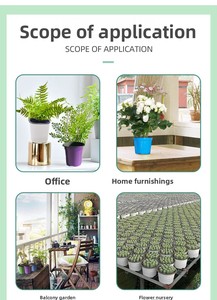 Vasi per Semenzai P418, Contenitori per Piante <span class=keywords><strong>in</strong></span> Plastica, Vasi per <span class=keywords><strong>Fiori</strong></span> e Piante - Product Image 3