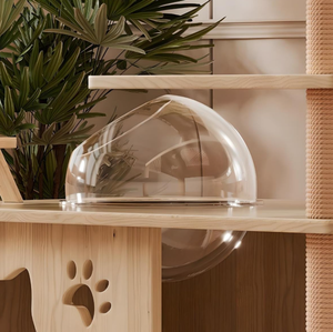 מתקן טיפוס לחתולים מעץ עמיד, מודרני וידידותי לסביבה, רהיט צעצוע אופנתי לחיות מחמד, עץ לחתולים, מידות בהתאמה אישית - Product Image 3