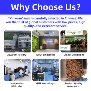 Equine מותאם אישית electrolyte אבקת מותגים - Product Image 6