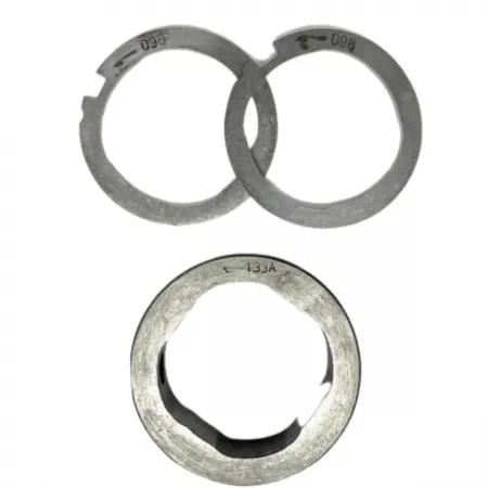 7189-100BR Cam Ring and Scroll Plate Kit for 9521A030G Pumps