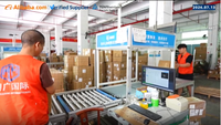Transitaire Mingguang, livraison porte à porte DDP, double dédouanement, logistique e-commerce, fret maritime, fret aérien, LCL+Express