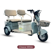 Tricycle électrique haute performance pour adultes, durable, à carrosserie ouverte, 2 places, pour les trajets quotidiens