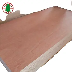 Commercial Veneer Plywood E1 Poplar Okoume or Bingtango Veneer Face 5-ply Boards 4mm--30mm FIRST-CLASS Over Molding Bailing