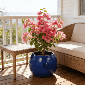 Maceta Elíptica de Cerámica Esmaltada en Negro Estilo Americano con Orificio de Drenaje, Duradera y Ecológica para Jardín Interior/Exterior - Product Image 1