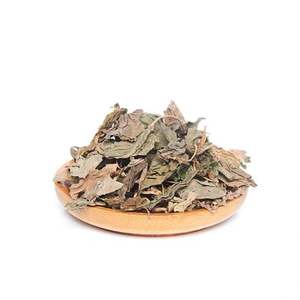 Vente en gros de Che qian cao Nouveau Plantaginis Herba en vrac Herbe de plantain asiatique séchée verte à vendre - Product Image 6