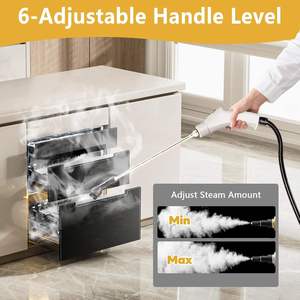Nettoyeur vapeur portatif multifonctionnel avec temps de chauffe de 15 secondes, réservoir d'eau pour nettoyer les sols, les voitures, les espaces extérieurs, les hôtels - Product Image 4