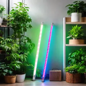 Lampu tumbuh LED T4 tabung penumbuh untuk pasar Rusia tumbuh tanaman buah sayuran di rumah kantor lampu pertumbuhan horticultural