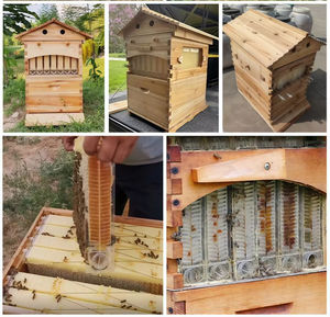 Nouvel ensemble complet de <span class=keywords><strong>7</strong></span> ruches à miel automatiques à écoulement continu avec cadres en bois de sapin chinois, marque <span class=keywords><strong>SM</strong></span> - Product Image 6