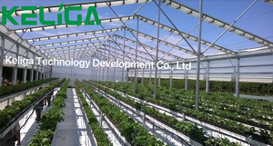 Hệ thống mái có thể thu vào Cấu trúc khung cứng nhắc a-<span class=keywords><strong>frame</strong></span> x-fram nhà kính có thể thu vào - Product Image 3