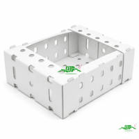 PP golfkartonnen plastic productenbox met open bovenkant en maatwerk voor supermarkt fruit- en groentepresentatie