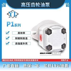 Pompes à engrenages à piston haute pression série P1 P101/102/127/135/104/105/106 Pompe à huile hydraulique à haut rendement Neuve et d'occasion - Product Image 4