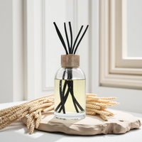Nouveau design, parfum de luxe unique, 100 ml, flacon en verre à dégradé poli, recharge, flacon vaporisateur fantaisie, bouchon irrégulier, plat