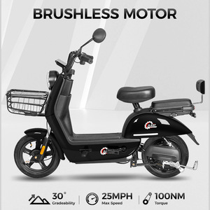 Scooter Eléctrico Beetle, 45 kg de Peso, Frenos de Cubo Delantero y Trasero, Tipo Estándar para Adultos - Product Image 4