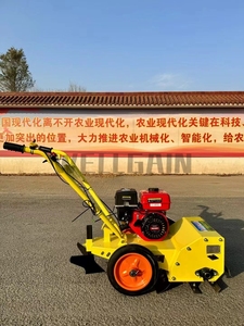 <span class=keywords><strong>Motozappa</strong></span> Compatta Multifunzione a Benzina per Diserbo, Dissodamento, Scavo e Aratura in Agricoltura Domestica - Product Image 4