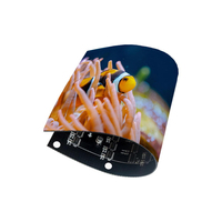 Módulo de Pantalla LED Flexible a Todo Color, Panel LED Flexible para Pantallas Curvas, Publicidad Creativa e Instalaciones Personalizadas