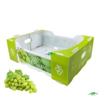 Boîte de transport pliable en plastique ondulé PP écologique pour fruits et légumes