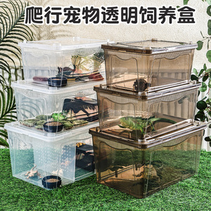 Reptile enclosure, reptile terrarium, spider, horned frog, gecko <b>box</b>, lizard, pet snake, scorpion, insect food bowl, water bowl - Product Image 5